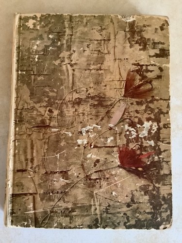 Brook trout fishing book - trout,