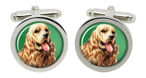 American cocker spaniel - american,