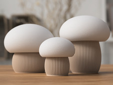Japandi Mushroom Ornament Set