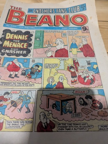Beano comics 1981 1982 - 46,