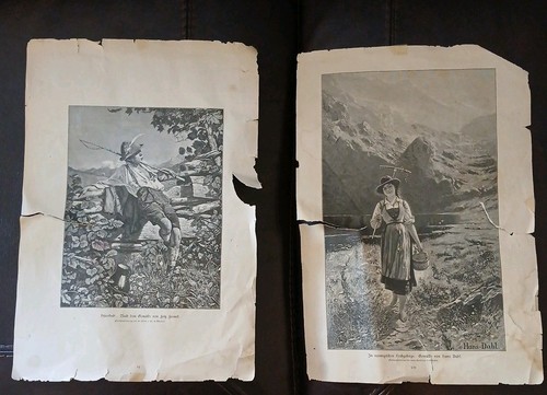 Pair antique 1890s alpine - antique,