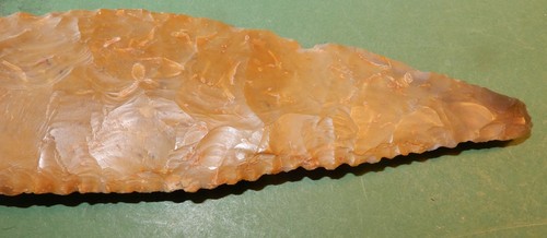 Serrated sickle late - serrated,