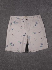 Hollister Shorts Mens W32