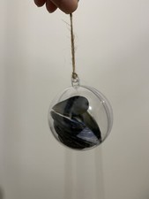 Mussel Shell Decoration Hand Picked from Cornwall