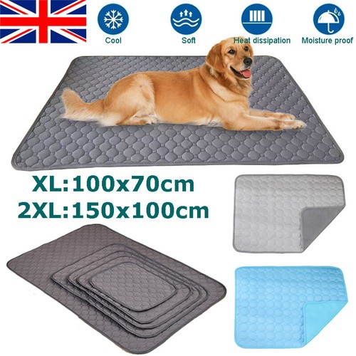 Large pet cooling - pet, dog