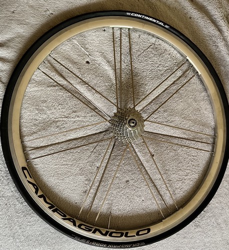 Campagnolo zonda rear wheel - campagnolo,