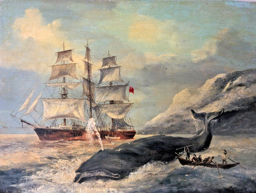Polar marine whaling oil - polar,