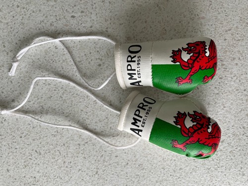 Ampro mini hanging country - hanging,