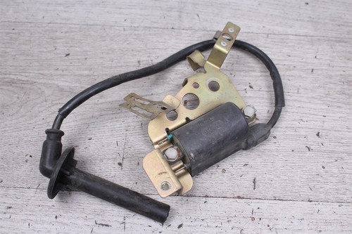 Ignition coil - coil, cable