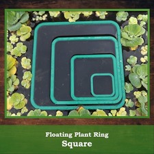 Aquarium Floating Plant Ring