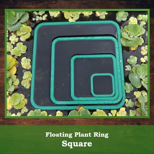 Aquarium floating plant ring - aquarium,