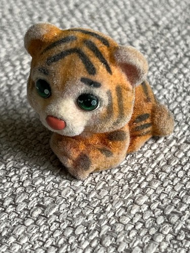 Jungle pocket tiger - in, my