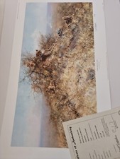 DAVID SHEPHERD PENCIL SIGNED