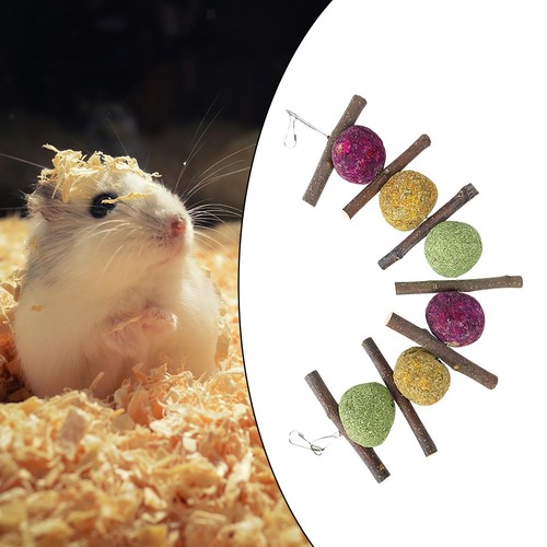 Bunny rabbit chew toys - rabbit,