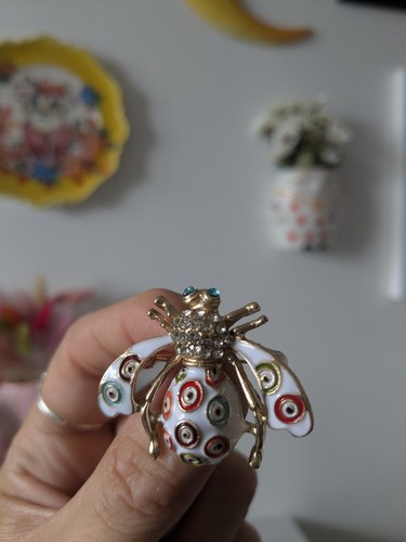Quirky unusual bug fly - unusual,