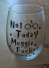 Humourous Harry Potter Muggle