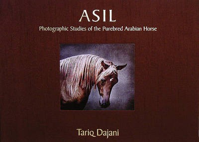 Asil photographic studies - asil, of