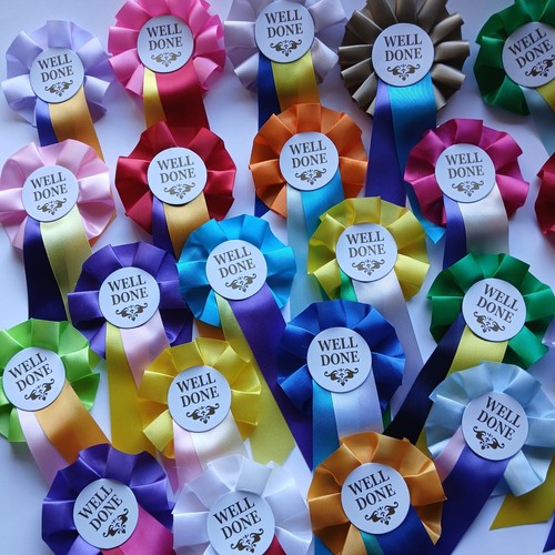 Well done rosettes - 10,