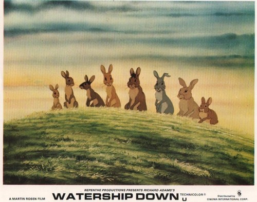 Watership down lobby cards - down,