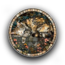 Cute Sleeping Barn Cat Kitten