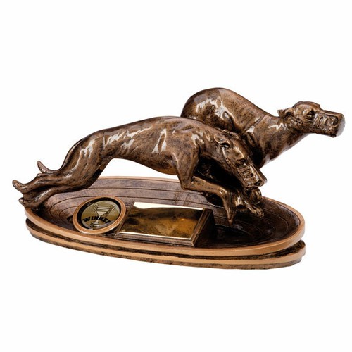 Greyhound dog racing - greyhound,