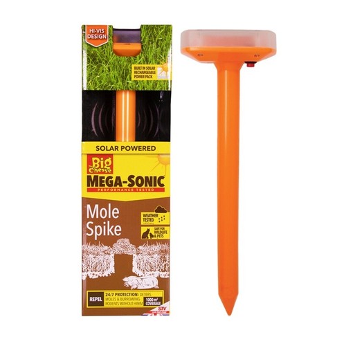 The big cheese mega - big,