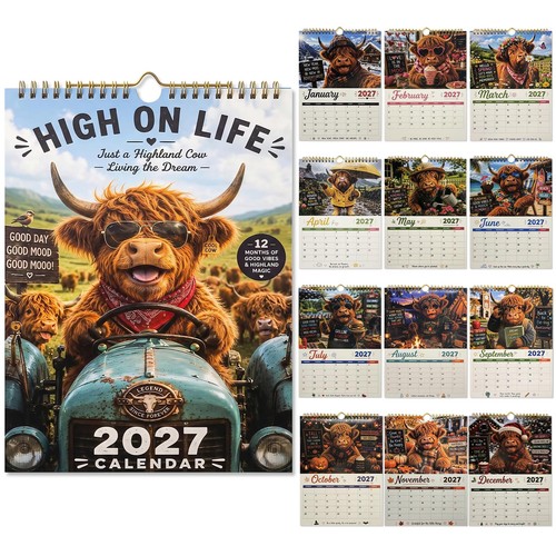 2027 highland cow - cow, calendar