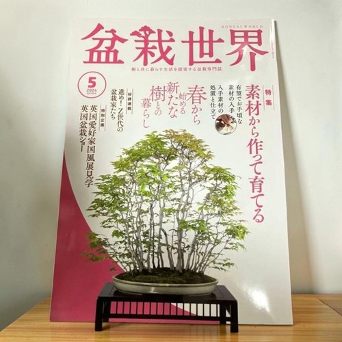 Bonsai world may 2024 - world,