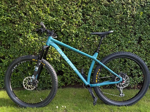 2020 santa cruz chameleon - santa, s+