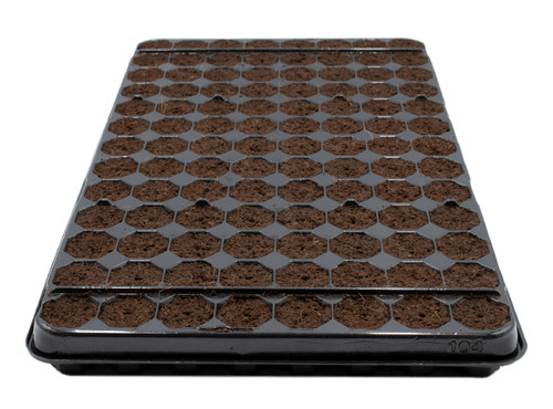 Plug life npk infused trays - infused,