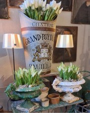 Grape Vineyard Hod Garden