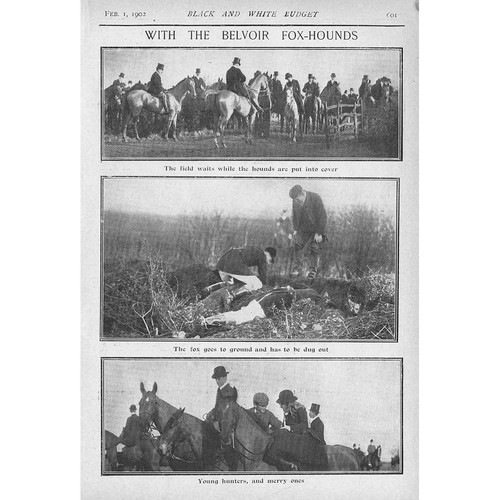 Scenes with the - belvoir, fox