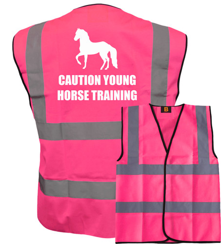 Caution young horse training - young,