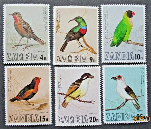 Zambia 1977 birds - zambia,