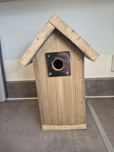 Bird box nesting - bird,