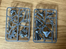 Aeldari Eldrad Ulthran |