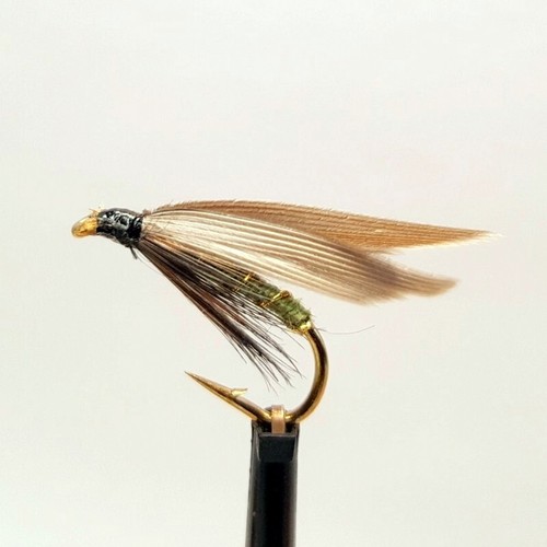 Greenwells glory wet trout - x,