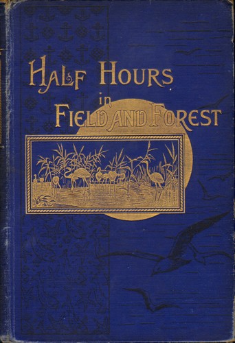 Half hours field - hours, forest