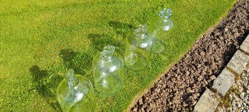 Four glass demijohns - four, 1
