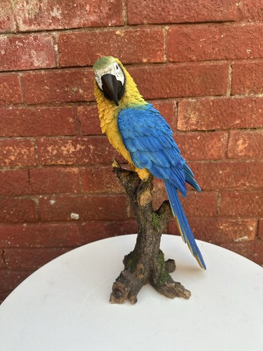 Large scarlet macaw parrot - scarlet,