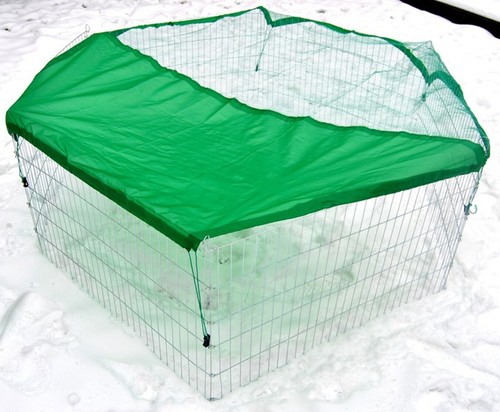 Xxl outdoor rabbit run - outdoor,