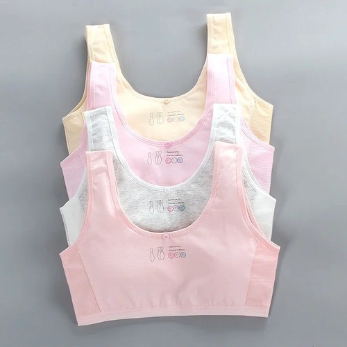 Pack puberty girls underwear - pack,