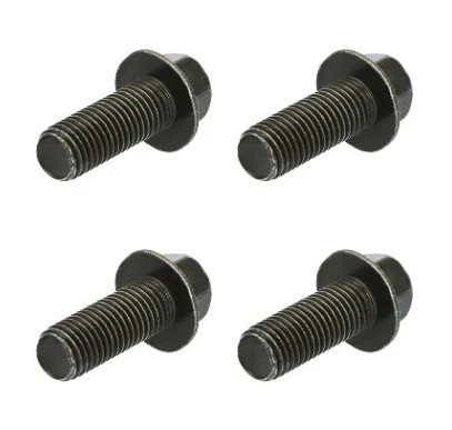Footpeg peg bolts m10 - footpeg, x1.25