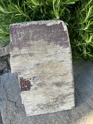 25cm flat driftwood - driftwood, plywood