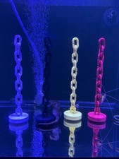 Yellow Sea Horse Aquarium