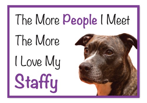 The more love staffy - more, my