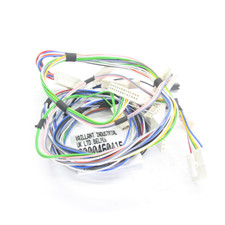Glowworm Main PCB Wiring