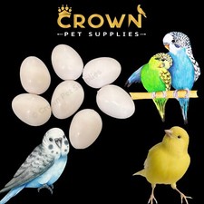 Canaries FAKE EGGS Solid