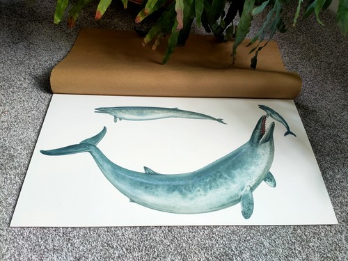 Pencil watercolour painting - &,