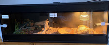 Glass vivarium for - for, reptiles